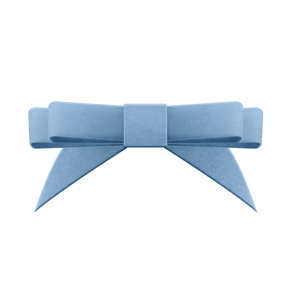 Danse De Paris Velvet Bow