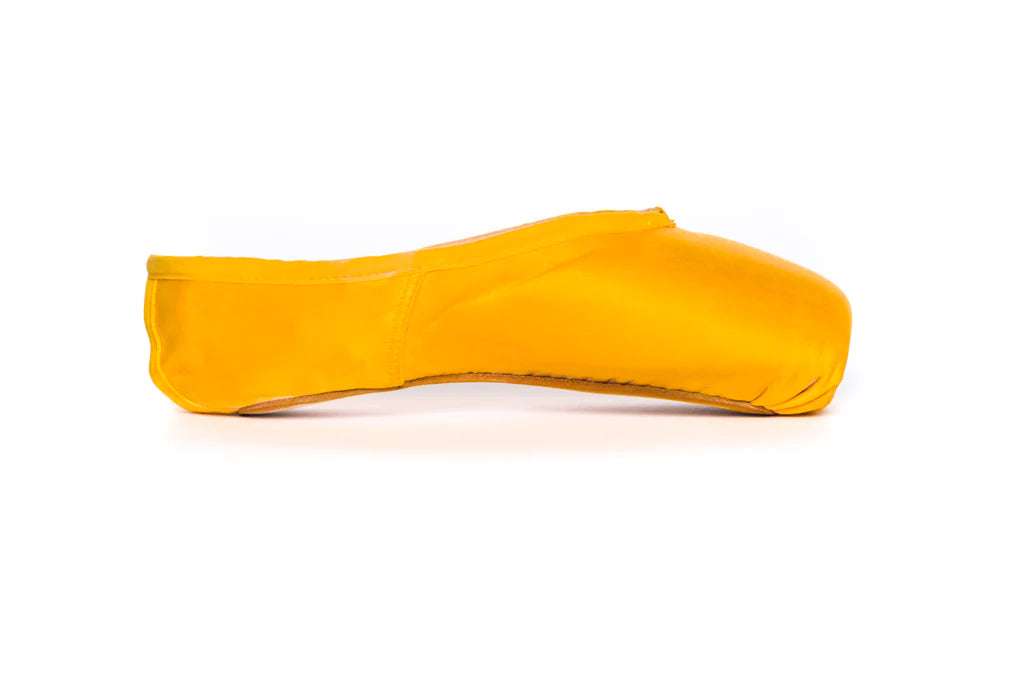 Pointe People Pointe Shoe and Leather Shoe Paint