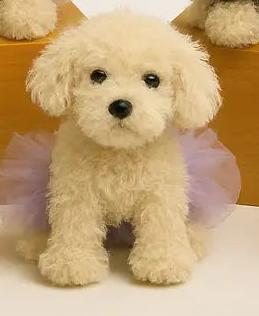 Dasha Designs Scruffy Dog