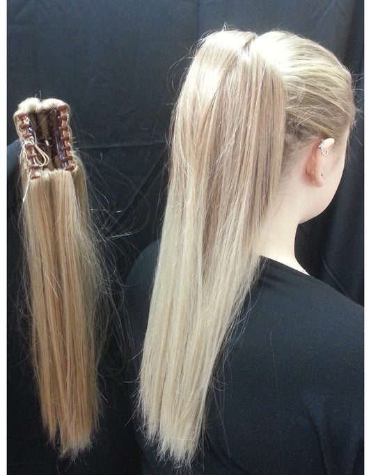 Dancer Hairdos Straight Ponytail